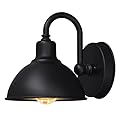 Naurham Barn Light Gooseneck Light- Small Farmhouse Outdoor Lighting, 1-Light Outdoor Gooseneck Lighting Farmhouse Wall Sconce for Patio Porch Garage (6.4" Diameter, 1pc)