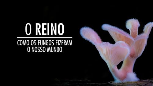 O Reino: Como os Fungos Fizeram o Nosso Mundo