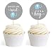 Andaz Press Boy Elephant Baby Shower Collection, Cupcake Topper DIY Party Favors Kit, Babies are Sweet! It's a Boy!, 20-Pack