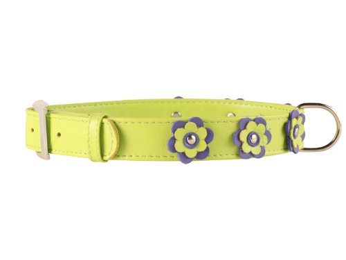 Collier en cuir pour animal 50,8-61 cm vert grand chien ajustable