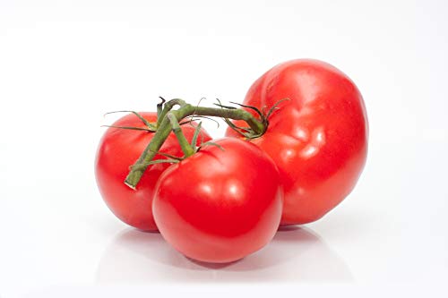 Burpee Tomato Big Boy Hybrid Seed