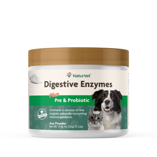 Probiotics for Dogs How Do They Work And Which Are The Best?