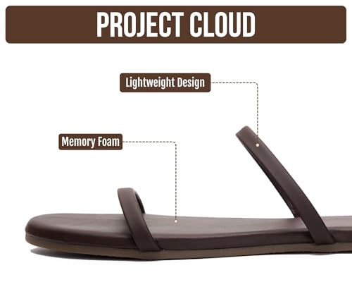 Image of Project Cloud Summer Sandals for Women with Memory Foam Insole (Transition) | Memory Foam Insole; Beach Flip Flops; Non-Slip Sole; Lightweight Double Straps; Summer Sandals for Women; Everyday Comfort
