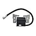Molloparts 101909201 Ignition Coil Compatible with Club Car DS Precedent Gas Golf Cart 1997-UP Kawasaki FE290D FE350D FE400D Compatible with John Deere