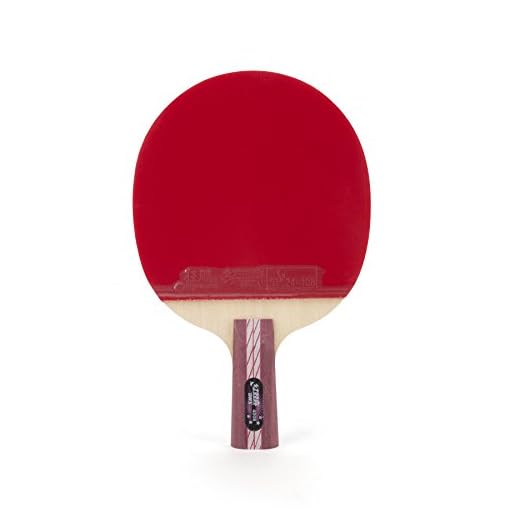 DHS Ping Pong Paddle 4006, Table Tennis Racket - Penhold with LANDSON Rubber Protection