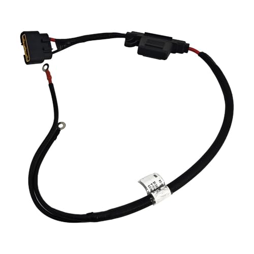 Cordon d'alimentation stabilisateur pour système électrique O 800ST-2 2023