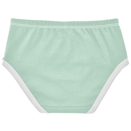 Joisal Pastel Cyan Green Panties for Girl Girls Underwear Toddlers Cotton Artistic Kids Undies Briefs 2t2