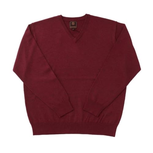Men's Solid Color V-Neck Sweater