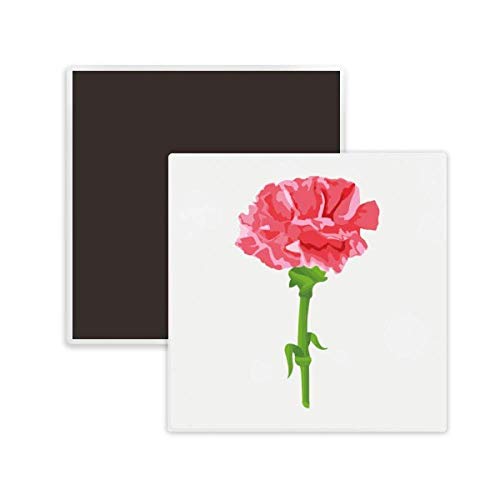 Flower Carnation Plant Leaves Square Ceramics Fridge Magnet Keepsake Memento #TOP20
