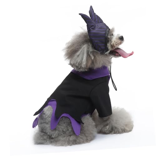 Disfraz de Bruja para Perro XL Homoyoyo Halloween miniatura 4