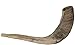 Ram's Horn Shofar Kosher Mini 10