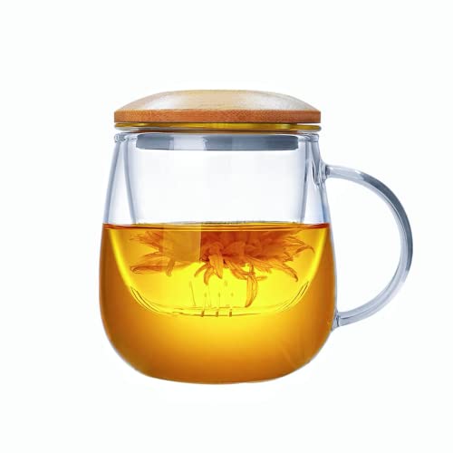 Hovol Glass Tea Cup With Infuser And Bamboo Lid, 13.5Oz Heat Resistance Borosilicate Glass Tea Mug With Strainer Clear Teacup For Loose Leaf Tea, Blooming Tea, Tea Bag, Ideal For Tea Lovers… #TOP2