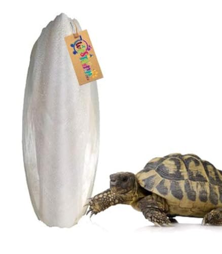 Image of Western Era Natural High Calcium Source Cuttlebone Fish for Turtle (100grm)