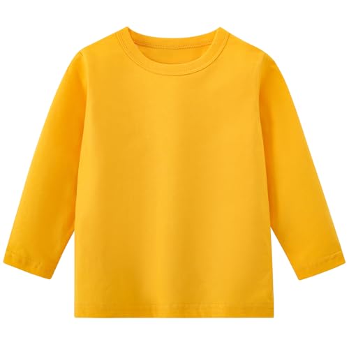 AIWUHE Toddler Long Sleeve T Shirts Cotton Soft Tshirts Boys Girls Basic Tee Undershirts Solid Color Crew Neck Tops 1-6Y
