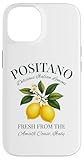 Positano Amalfi Coast Italy Designs