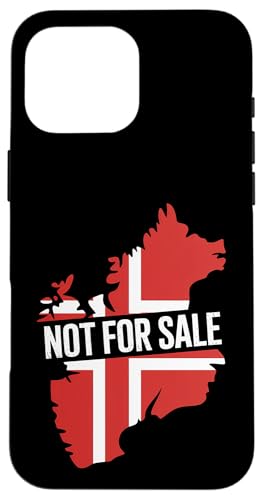 �O���[�������h�񔄕i�X�e�[�g�����g �X�}�z�P�[�X iPhone 16 Pro Max �p