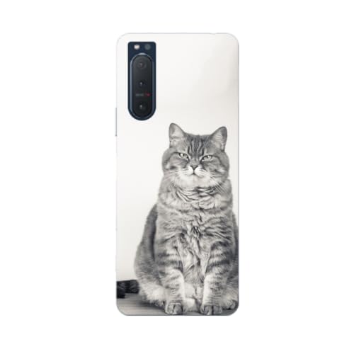 Xperia 5 II �p �P�[�X SO-52A SOG02 �Ή� �p �n�[�h�P�[�X �X�}�z�P�[�X ���^ �y�� �L ���� �ʐ^ 002901