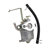 69381 Carburetor Carb 69381 60338 66619