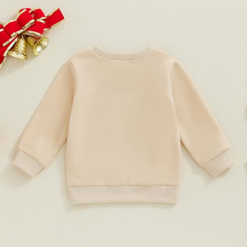 Baby Boy New Year Clothes Letter Embroidery Crew Neck Long Sleeve Sweatshirt Pullover Shirt Fall Winter Tops3