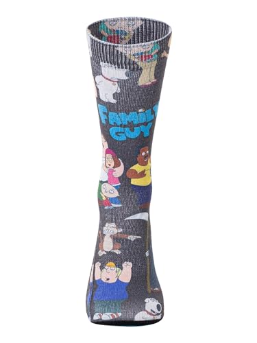 Image of STANCE SOCKS FAMILY GUY
