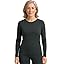 Evening Forest