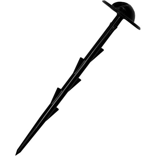 DAIM hV[g s 20cm 50{