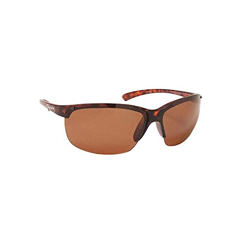 Coyote Sunglasses - P-30 / Frame: Black Lens: Brown