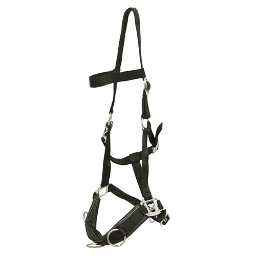 Huntley Equestrian Nylon Padded Lunging Caveson - Full (Black)