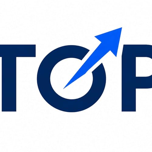 『TOP SEO』のカバーアート