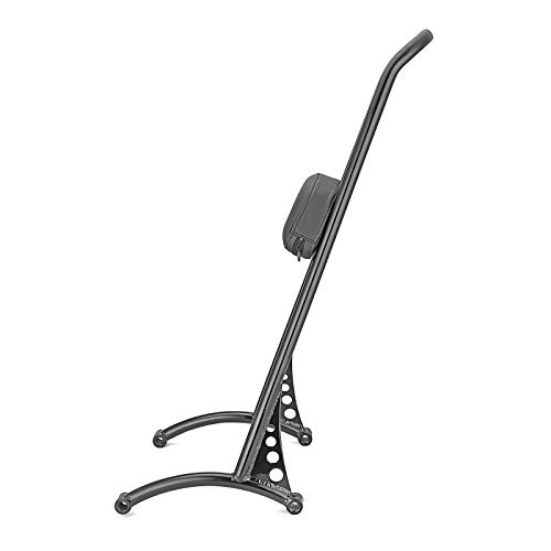 Wsays 21" Classic Styled Gloss Black Tall Passenger Backrest Sissy Bar Compatible With Harley 1996-2003 Harley Sportster Xl 883 1200 #TOP6