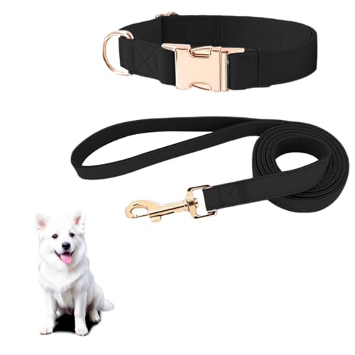 MYPETSTOCK® Set Collare e Guinzaglio in Pelle Morbida per Cani di Taglia Media - Collare Regolabile, Guinzaglio Resistente, Design Elegante e Robusto (Nero, Taglia M)