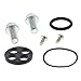 All Balls Racing 60-1023 Fuel Tap Repair Kit Compatible With/Replacement For KTM 560 SMR 2006-2007, 950 Adventure 2003-2006