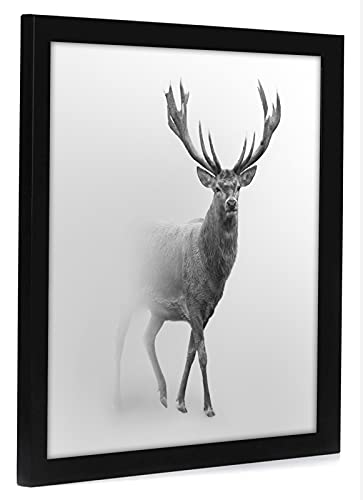 Americanflat 16x16 Picture Frame with Polished Plexiglass - Epic Collection - Square Picture Frame with Engineered Wood - Wide Photo Frames for Wall display - Black