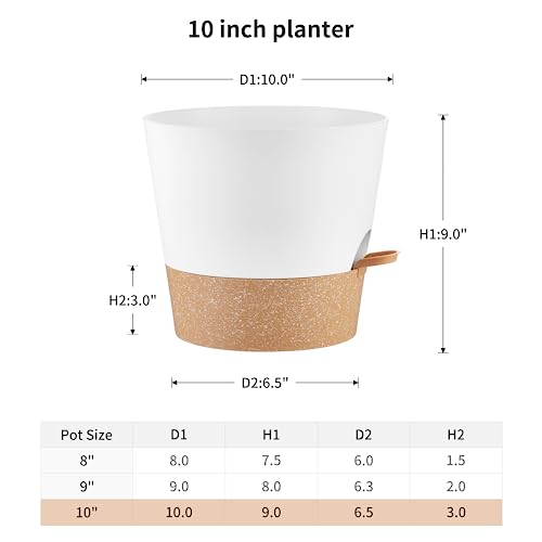 FaithLand - 2er-Pack Blumentöpfe, 25,4 cm, für Zimmerpflanzen und Außenbereich, Selbstbewässernde Blumentöpfe mit tiefem Wasserspeicher… – Ansicht 2