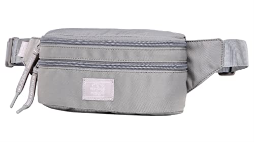 Image of 521s Small Fanny Pack Fashion Waist Bag Cute for Women, Silver