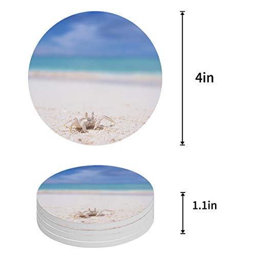 Absorbent Coaster Ceramic Stone Set of 8 with Cup Holder, Summer Beach Coastal Crabs Drink Coasters with Cork Base, Sea Creatures Cup Place Mats for Holiday Party Family Dining - Image 3