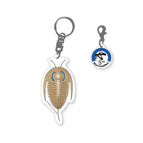 [�T���R���e���c] 366���Ð����L�[�z���_�[ 11��5�� �G�I���h���L�A�E�C���e�����f�B�A �A�N�����L�[�z���_�[ ���� �f�B�m �L�b�Y �a���� �L�O�� �A�j�o�[�T���[�L�[�z���_�[