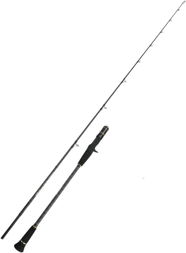 SLJ Jig30g-200g ジギングロッド オフショア スピニング 軽量 高価