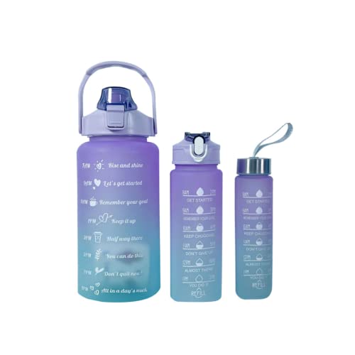 Kit 3 Garrafas 2 Litros 900ml 300ml Garrafas Água Canudo Adesivos 3d e 2d Squeeze Academia Fitness E