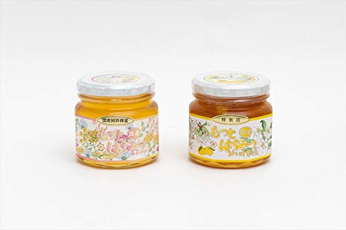 【国産はちみつ 養蜂場直送】百花はちみつ300g 柚子はちみつ漬 270gセット お中元 お返し ギフト