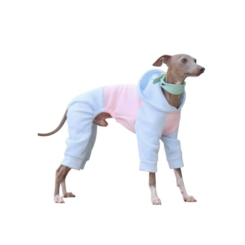 C^AO[nEh EBybgpp[J[ W[ ~p g lxhg WvX[c ^[glbN SgybgpXEFbgVc(Blue,M)