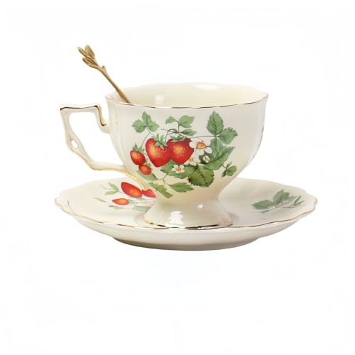 R[q[Jbv\[T[Zbg kfUCE킢ԕEȃeB[Jbv | Z~bNEe200mlEJbv9.3×8.5cm \[T[a15.5cm | jE̓EMtg (A)