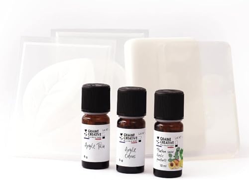 Graine Créative Coffret DIY savons aux argiles naturelles pour création maison - 7
