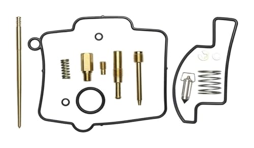 Carburador para Yamaha YZ250 y kit de reparación para tus rutas de enduro