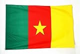 AZ FLAG Drapeau Cameroun 150x90cm - Drapeau camerounais 90 x 150 cm Polyester léger