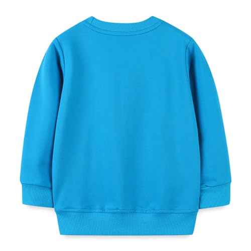Boys Sweatshirts Long Sleeve Sweatshirts T-shirts Crew Neck Cotton Casual Sweatshirts Cartoon Tops for Boys-1202