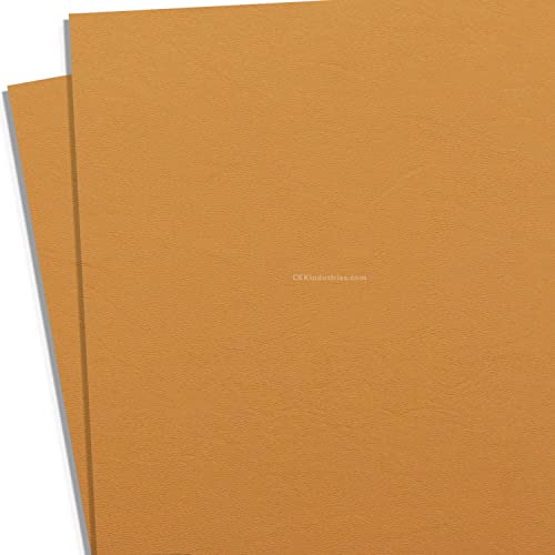 KYDEX Thermoform Sheet - (P1 Texture) - (.080 Thickness) - (8in x 8in) - (Desert Fox) - (2 Sheets) - DIY Holster Making, Airsoft Armor, Cosplay Uniforms, Keel Guards
