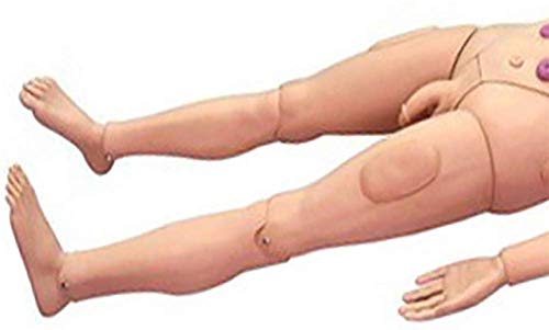 OYJFAX Multi-Functional Patient Care Simulator Male And Female Nursing Manikin Human Anatomical Model for Nursing Medical Training - Thumbnail 5
