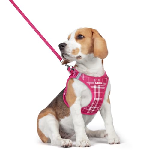 Image of rabbitgoo Dog Harness Medium Sized and Leash Set, Step-in Puppy Pet Vest