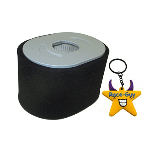 Race-Guy Replacement Air Filter For Briggs & Stratton 799818 Cleaner 25T232-0021-H1 25T232-0007-F1 25T232-0259-01 25T235-0132-H7 25T237-0054-G1 25T237-0109-F1